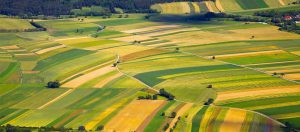صنایع کشاورزی در هلند